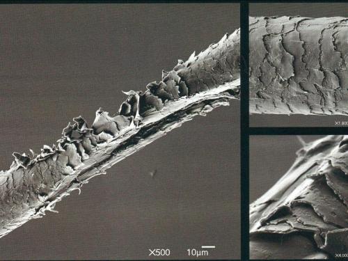 Безаммиачная краска это. Аммиачная и безаммиачная краска. В чем отличие