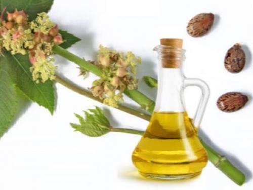 Касторовое масло или репейное, что лучше для ресниц. Касторовое или репейное масло: какое лучше для укрепления ресниц и бровей 13