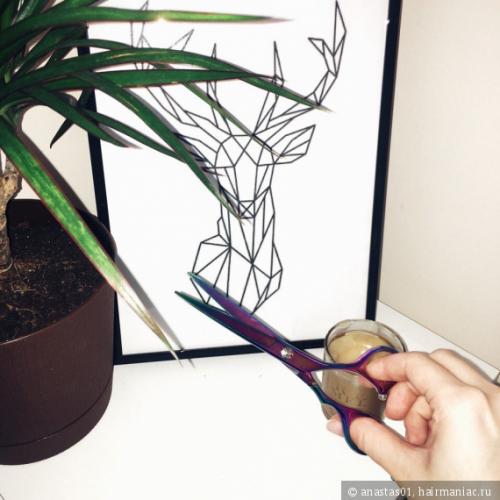 Секутся волосы по всей длине. Сечение волос по всей длине. Как я справляюсь