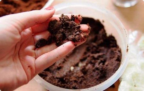 Скраб для волос для роста волос. 6 достоинств… 01