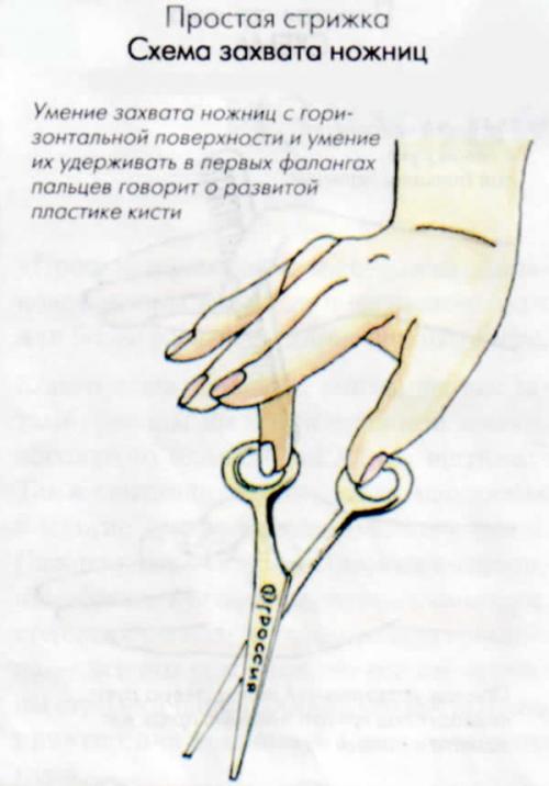 Техника стрижек коротких. Схема универсальной короткой стрижки 03