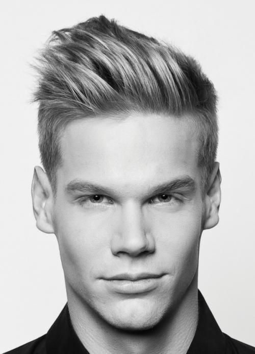 Стрижка под 1 см. Виды мужской стрижки бокс. Плюсы и минусы, технология выполнения 07 Стрижка под 1 см. Виды мужской стрижки бокс. Плюсы и минусы, технология выполнения 07