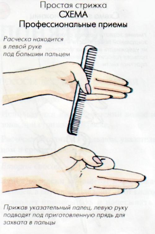 Техника стрижек коротких. Схема универсальной короткой стрижки 04