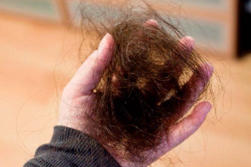 Волосы путаются в колтуны примета. Народные приметы о колтунах в волосах