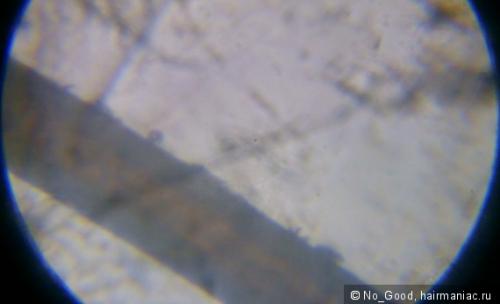 Чтобы волосы не путались на ветру. Проблемы моих волос или основные сложности ухода