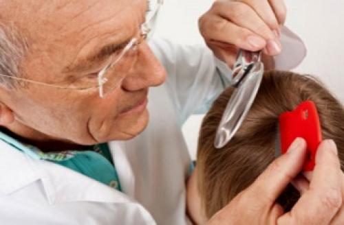 Дегтярное мыло чем полезно для волос. Дегтярное мыло для волос – панацея от серьезных проблем 11