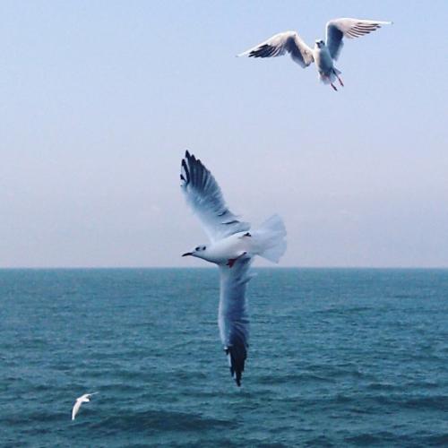 Как стать уверенной в себе женщиной советы. Как научиться быть увереннее 11 Как стать уверенной в себе женщиной советы. Как научиться быть увереннее 11