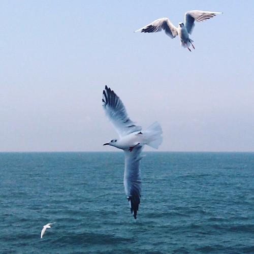 Как стать уверенной в себе женщиной советы. Как научиться быть увереннее 10 Как стать уверенной в себе женщиной советы. Как научиться быть увереннее 10