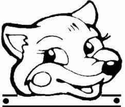 Костюм лисички сшить. Костюм лисы своими руками — идеи и варианта, как сделать ребенку костюм в домашних условиях (фото и видео) 24