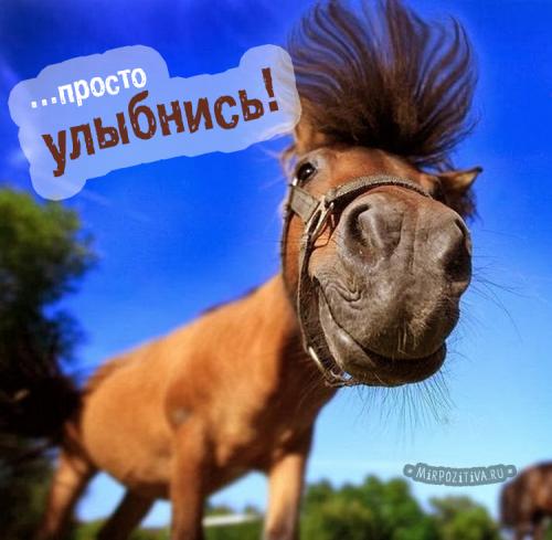 Люблю людей которые заставляют меня улыбаться анимашки. Прикольные картинки, заставляющие улыбнуться любого