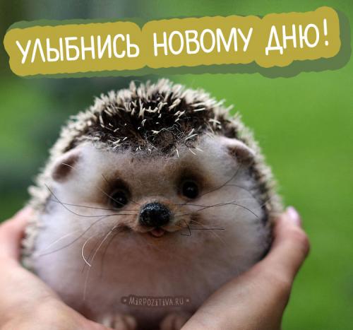 Люблю людей которые заставляют меня улыбаться анимашки. Прикольные картинки, заставляющие улыбнуться любого