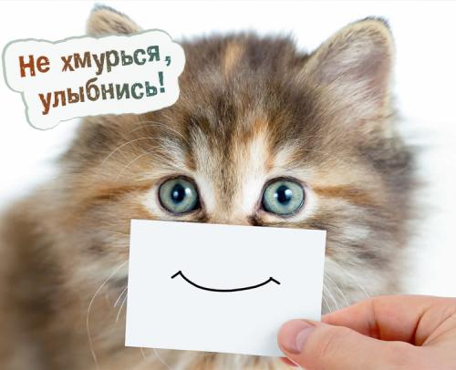 Люблю людей которые заставляют меня улыбаться анимашки. Прикольные картинки, заставляющие улыбнуться любого