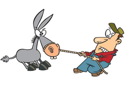 Строптивый это. Особенности строптивых людей, которые необходимо знать для продуктивного общения с ними