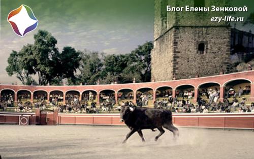 Строптивый это. Особенности строптивых людей, которые необходимо знать для продуктивного общения с ними