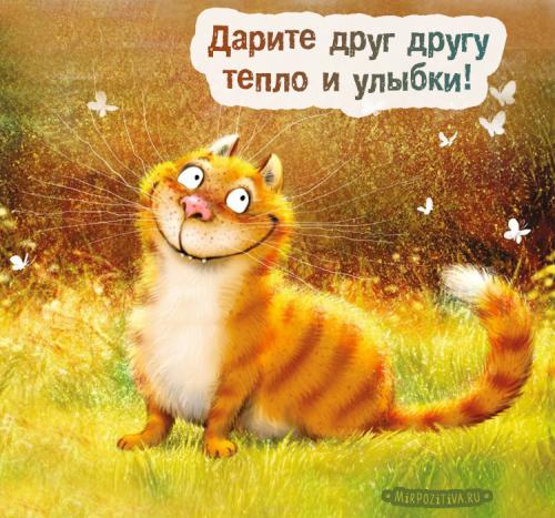 Люблю людей которые заставляют меня улыбаться анимашки. Прикольные картинки, заставляющие улыбнуться любого