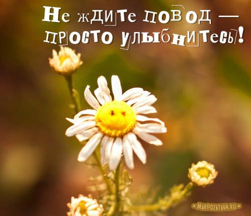 Люблю людей которые заставляют меня улыбаться анимашки. Прикольные картинки, заставляющие улыбнуться любого