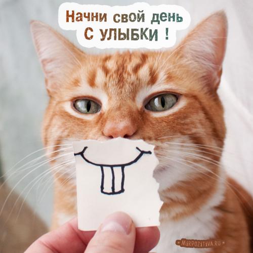 Люблю людей которые заставляют меня улыбаться анимашки. Прикольные картинки, заставляющие улыбнуться любого