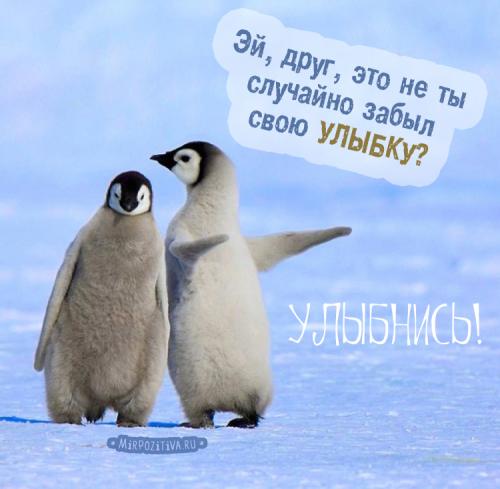 Люблю людей которые заставляют меня улыбаться анимашки. Прикольные картинки, заставляющие улыбнуться любого