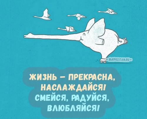 Люблю людей которые заставляют меня улыбаться анимашки. Прикольные картинки, заставляющие улыбнуться любого