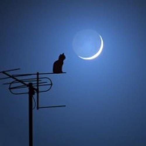 Что нельзя делать в новолуние приметы. Что можно делать на новолуние