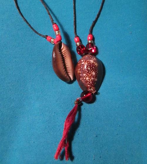 Ракушка моллюска каури. Денежные раковины каури