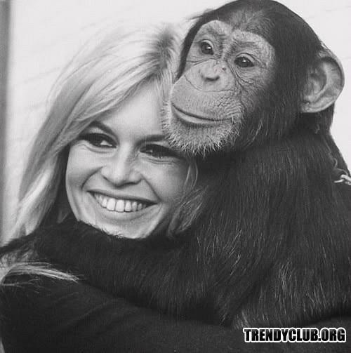 Брижит Бардо Кибби. Секреты красоты от Бриджит Бардо