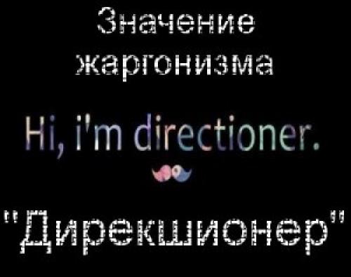 Дирекшионеры. Что значит Дирекшионер?