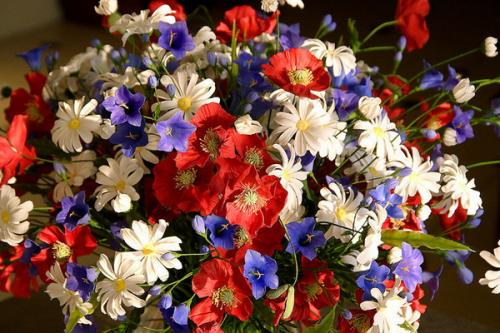 Колористика Наука. Колористика: принципы сочетания цветов