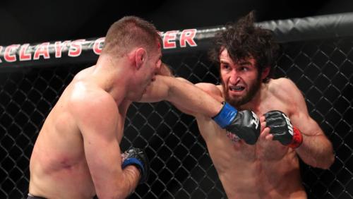 Магомедшарипов Забит биография. Забит Ахмедович Магомедшарипов: биография, карьера и личная жизнь