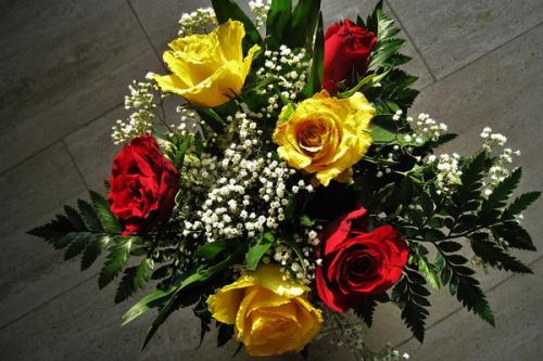 Колористика Наука. Колористика: принципы сочетания цветов