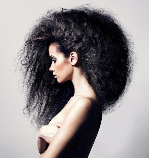 Расческа виды. Какие бывают расчески: 10 видов