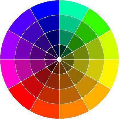 Колористика для начинающих Парикмахеров теория. Как соединить цвета