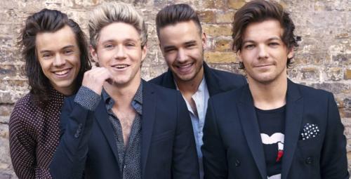 Дирекшионеры кто это. Кто такие Дирекшионеры или Дирики?