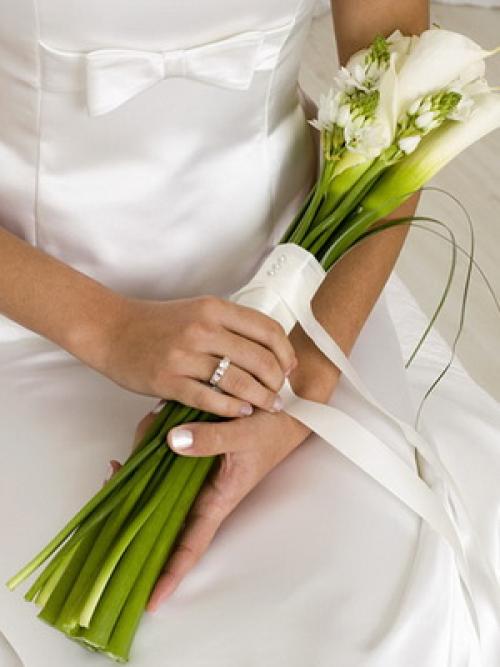 Колористика Наука. Колористика: принципы сочетания цветов