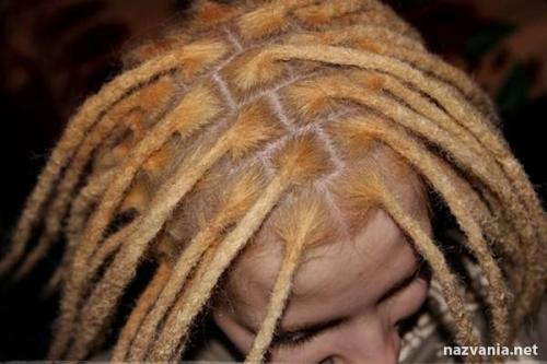 Дреды-уход. Дреды и уход за ними