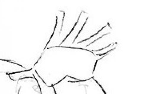 Прическа доктора Стрэнджа. Как нарисовать доктора Стрэнджа