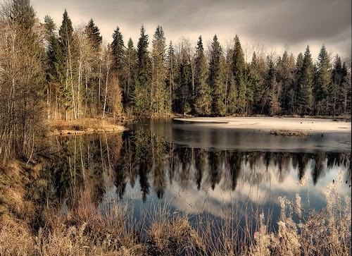 Список приятных дел на ноябрь. Приятные дела на НОЯБРЬ