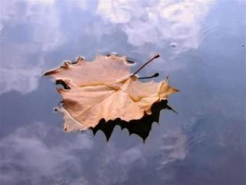 Красота это. Сочинение-рассуждение на тему: "Что такое Красота"