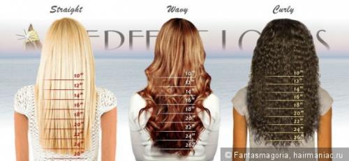 Кудрявые волосы. Минипост Почему кудри вьются? В чем отличие кудрявых волос от прямых и волнистых?