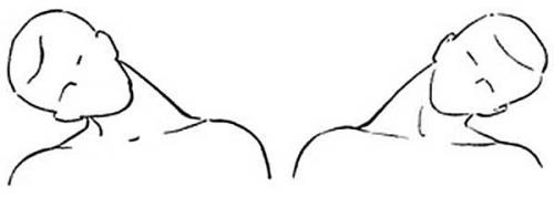 Бычья шея бодибилдинг. Тренировка