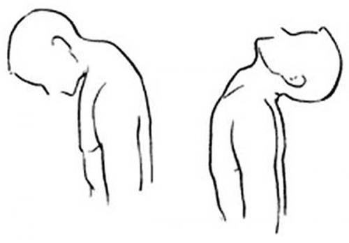 Бычья шея бодибилдинг. Тренировка