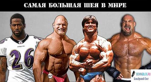 Бычья шея бодибилдинг. Тренировка