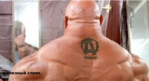 Бычья шея. Как качать шею