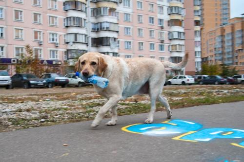 Надписи на асфальте с днем рождения. Открытки на асфальте