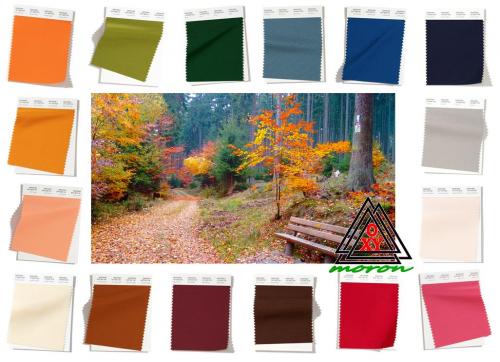 Осенью, какой цвет в моде. Модные цвета осенне-зимнего сезона 2019-2020 по версии Pantone 06 Осенью, какой цвет в моде. Модные цвета осенне-зимнего сезона 2019-2020 по версии Pantone 06