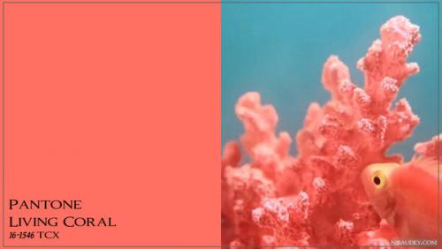 Модные цвета Весна Лето 2019 Пантон. Модные цвета Panton Весна — Лето 2019