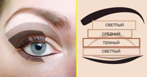 Как красить тени на глаза. Как красить глаза тенями поэтапно: фото для начинающих