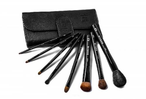 Какие кисти для макияжа нужны новичку. Какие кисти нужны для профессионального макияжа?