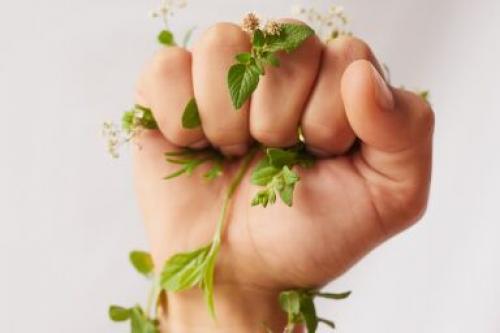 Как выпрямить волосы утюжком, чтобы они не пушились. Как правильно выпрямлять волосы утюжком