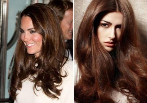Кому подходит каштановый цвет волос. Богатое предложение 09